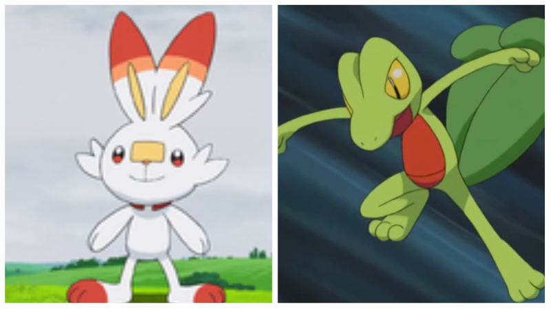Fire/Grass Pokémon - Scorbunny and Treeko